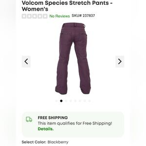 Volcom women’s species snowboard pants small